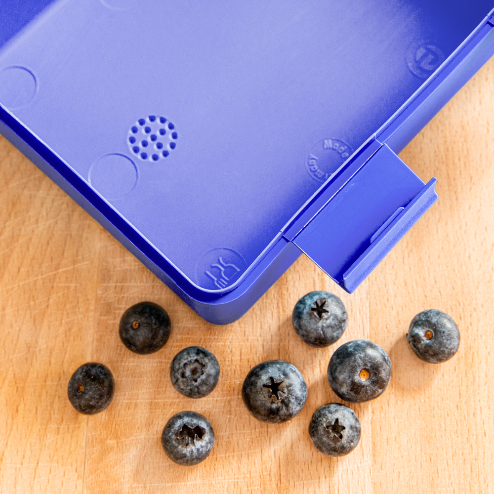 Brotdose - sööt Haas - Royalblau