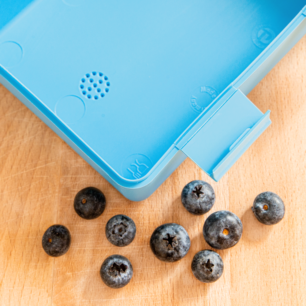 Brotdose - sööt Haas - Saphirblau