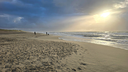 Warum wir das Meer so lieben